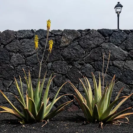 Lanzarote Natura Дом отдыха Соо