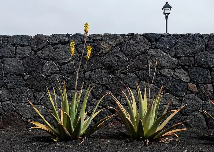 Lanzarote Natura Dom wakacyjny Soo
